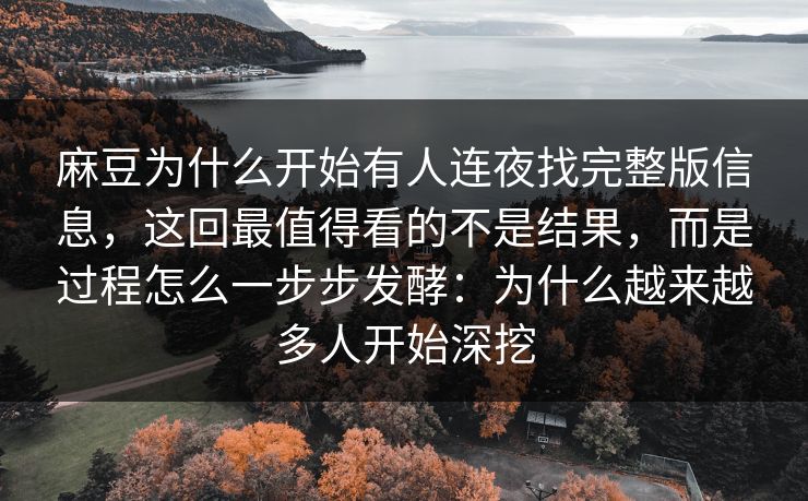 麻豆为什么开始有人连夜找完整版信息,这回最值得看的不是结果,而是过程怎么一步步发酵:为什么越来越多人开始深挖 第1张 麻豆为什么开始有人连夜找完整版信息,这回最值得看的不是结果,而是过程怎么一步步发酵:为什么越来越多人开始深挖 第1张