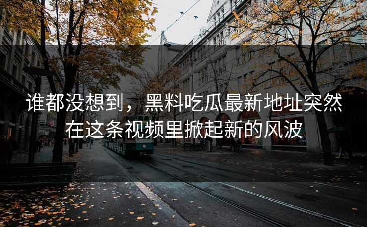 谁都没想到，黑料吃瓜最新地址突然在这条视频里掀起新的风波  第1张