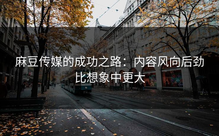麻豆传媒的成功之路:内容风向后劲比想象中更大 第1张 麻豆传媒的成功之路:内容风向后劲比想象中更大 第1张